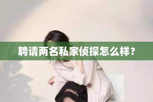 聘请两名私家侦探怎么样？