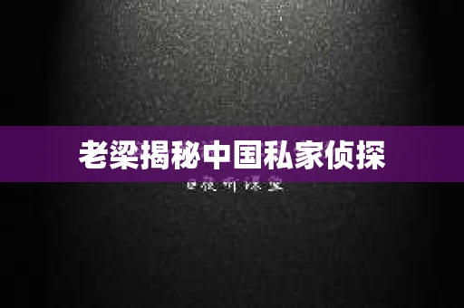 老梁揭秘中国私家侦探 老梁揭秘中国私家侦探