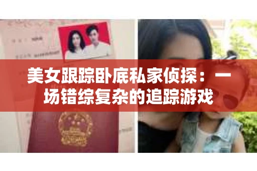 美女跟踪卧底私家侦探：一场错综复杂的追踪游戏