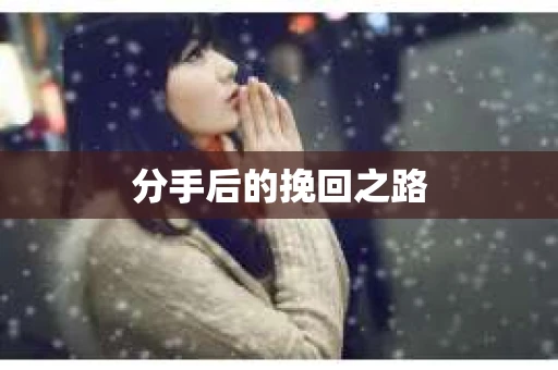 分手后的挽回之路