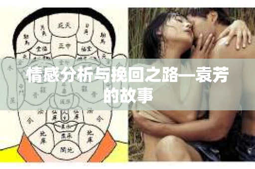 情感分析与挽回之路—袁芳的故事