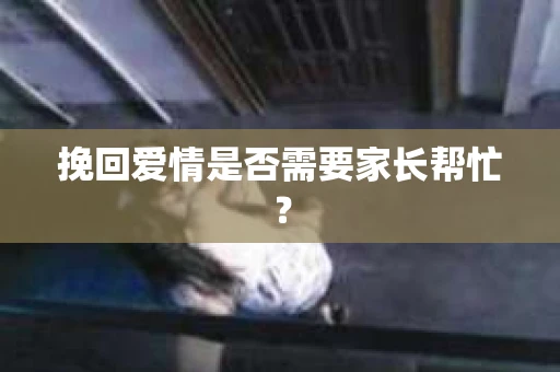挽回爱情是否需要家长帮忙？
