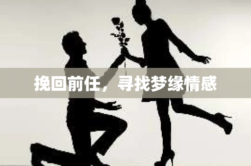 挽回前任，寻找梦缘情感