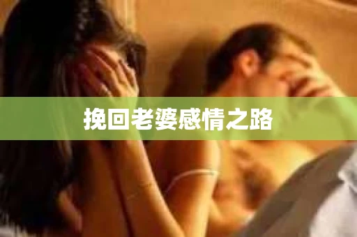 挽回老婆感情之路