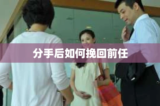 分手后如何挽回前任