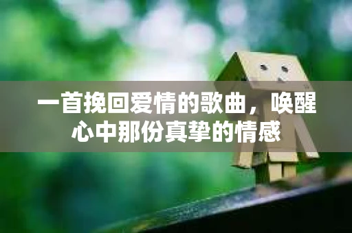 一首挽回爱情的歌曲，唤醒心中那份真挚的情感