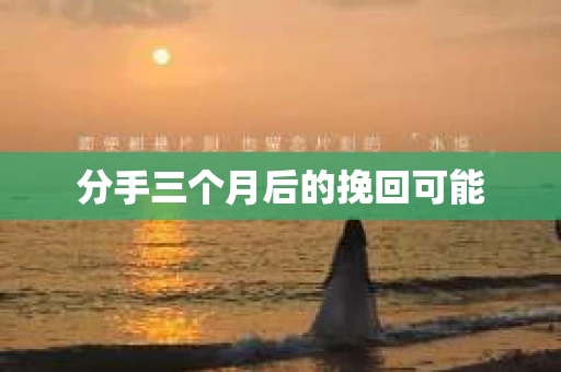 分手三个月后的挽回可能