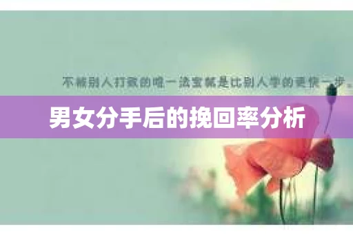 男女分手后的挽回率分析
