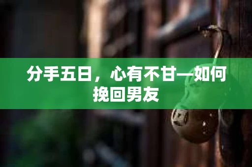 分手五日，心有不甘—如何挽回男友