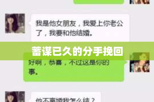 蓄谋已久的分手挽回