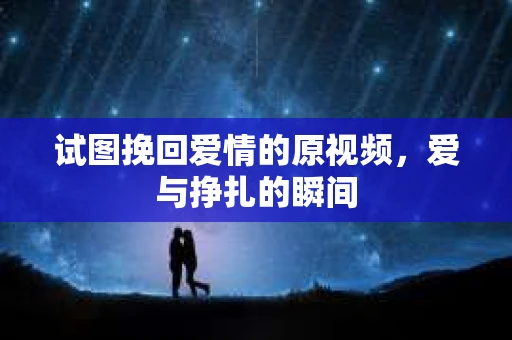 试图挽回爱情的原视频，爱与挣扎的瞬间